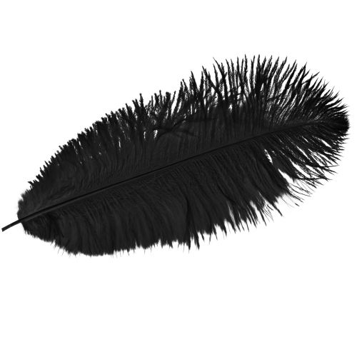 Strudsfjer Dekoration Sorte Fjer 32-35cm 4 stk