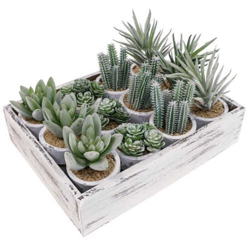 Floristik24 Kunstige sukkulenter i potte kunstige planter grøn Ø4cm 12stk