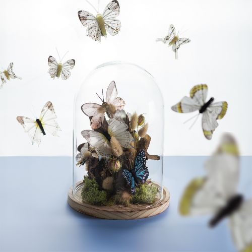 Artikel Glasklokke på træbakke, glaskrukke, klar, natur, Ø17cm, H24cm