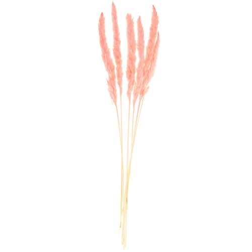 Artikel Pampas græs dekoration, pampas græs tørret pampas græs pink 72cm 6 stk.