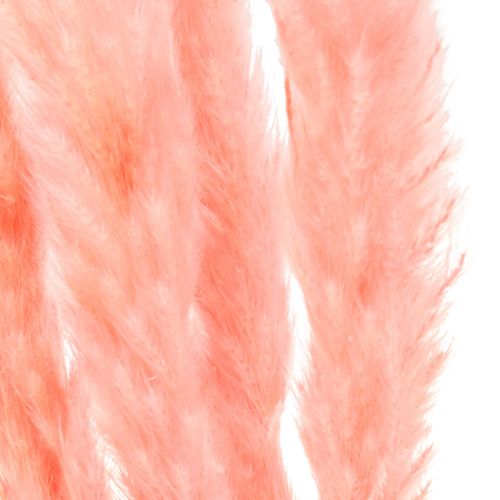 Artikel Pampas græs dekoration, pampas græs tørret pampas græs pink 72cm 6 stk.
