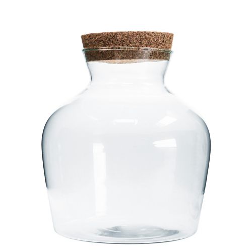 Floristik24 Dekorationsglas med kork Dekorativ vase klar løgformet Ø20cm H21cm