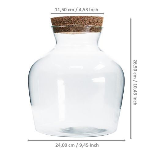 Floristik24 Dekorationsglas med kork Dekorativ vase med låg H25cm Ø24cm