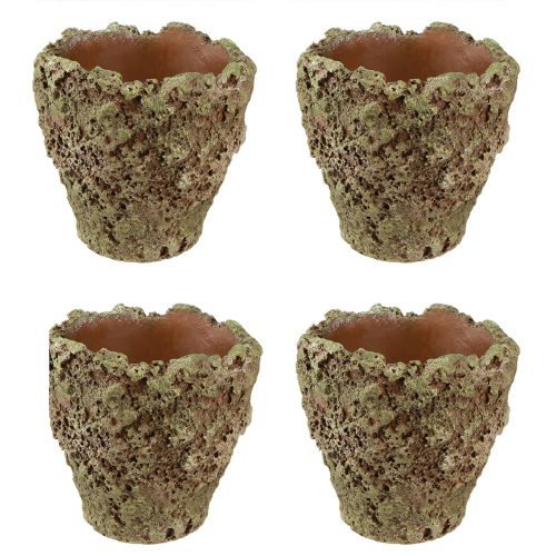 Artikel Plantekrukke rustik plante-moslook Ø17cm H16,5cm 4stk