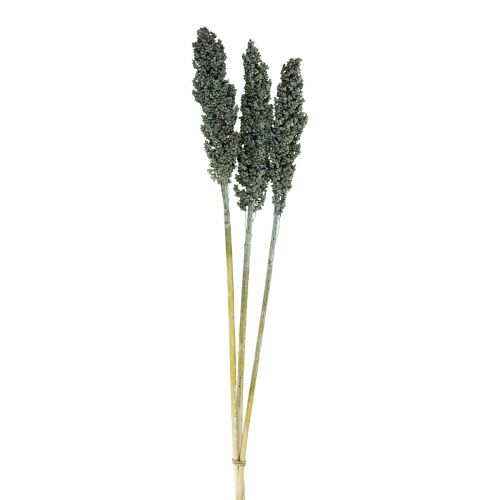 Artikel Tørrede blomster sorghum hirse blågrøn tørblomstret 72cm 3 stk