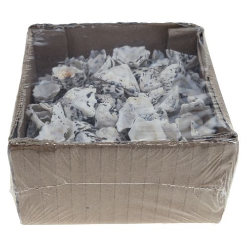 Floristik24 Skal Deco Skaller Hvid Sort Lille 1-2,5cm 250g