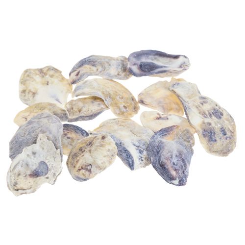 Floristik24 Østersskaller deco-skaller dekoration naturel 2-6cm 250g