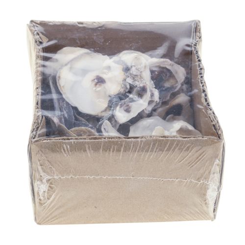 Floristik24 Østersskaller deco-skaller dekoration naturel 2-6cm 250g