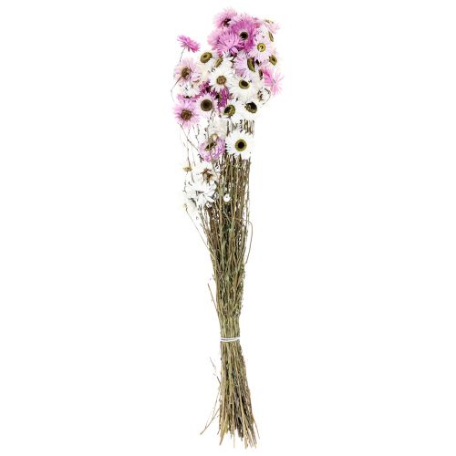 Artikel Tørrede blomster Hvide Lyserøde Halmblomster 40-45cm 30g