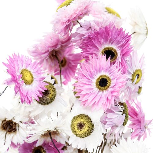 Artikel Tørrede blomster Hvide Lyserøde Halmblomster 40-45cm 30g