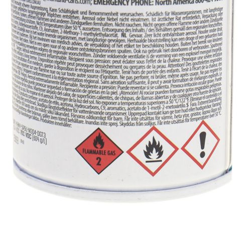 Floristik24 Glas maling spray effekt spray spray maling glas koral mat 250ml