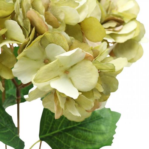 Floristik24 Hortensia buket kunstgrøn, brun 5 blomster 48cm
