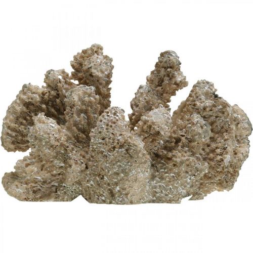 Floristik24 Maritim dekoration, havdyr, dekoration koral polyresin 13,5x11,5cm