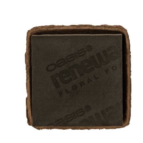 Blomsterskum 1/2 mursten OASIS® Renewal® Blomsterskum Biolit® 12 cm 2 stk.