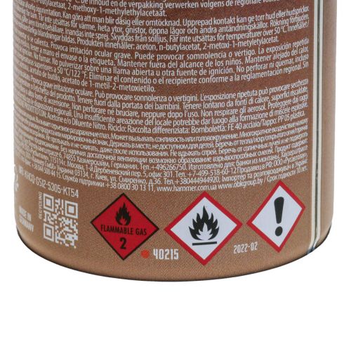 Floristik24 Rust Spray Effekt Spray Rust Spray Indvendig og udvendig Brun 400ml