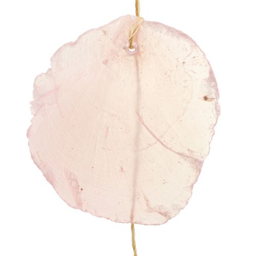 Floristik24 Skalguirlande perlemor skalguirlande Capiz pink L108cm