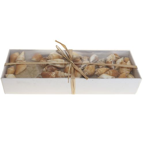 Artikel Capiz muslinger snegleskal dekoration maritim brun hvid 600g