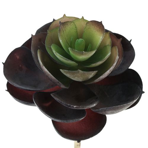Artikel Sukkulent Echeveria Kunstige Grønne Planter Ø7cm 12cm 6 stk