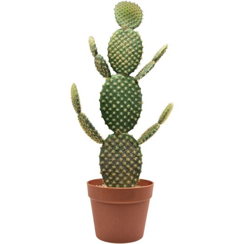 Floristik24 Dekorativ kaktus kunstig potteplante stikkende pære 64cm