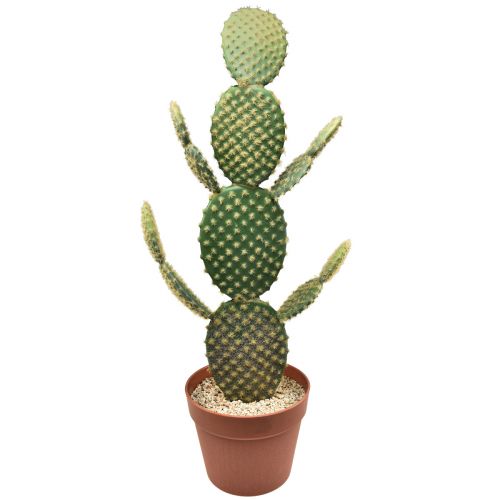 Floristik24 Dekorativ kaktus kunstig potteplante stikkende pære 64cm