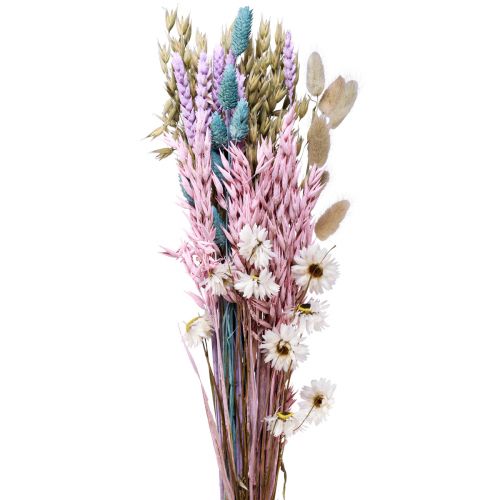 Floristik24 Tørret blomsterbuket halmblomster Phalaris korn 58cm