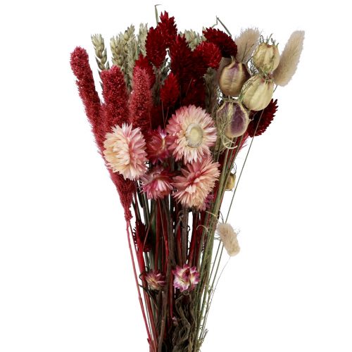 Tørrede blomsterbuket stråblomster Phalaris rød 30cm