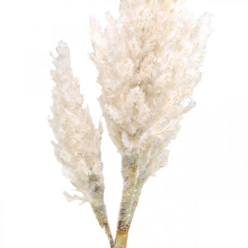 Floristik24 Pampas græs hvid creme kunstig tørt græs dekoration 82cm