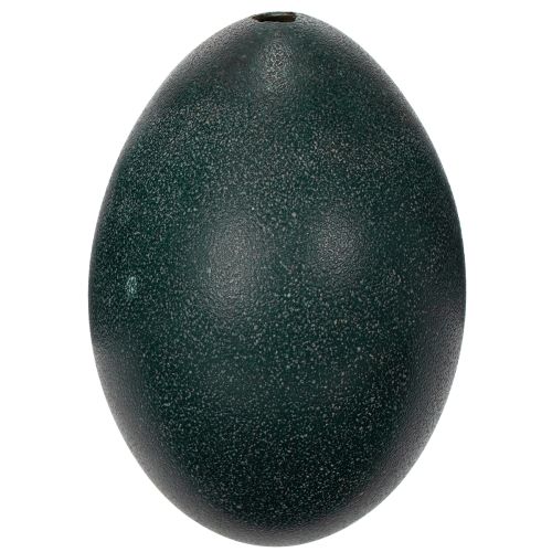 Artikel Emuei-dekorationer til festlig boligindretning og stilfulde detaljer til påske