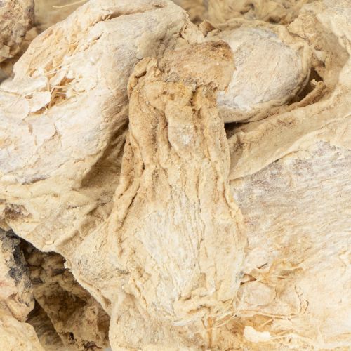 Artikel Tørret ingefærdekoration Naturlig dekoration 500g