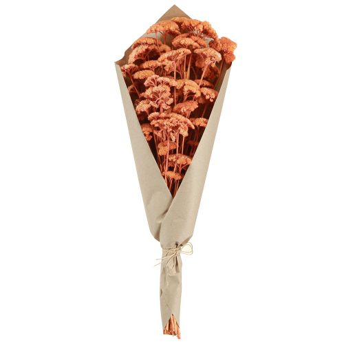 Artikel Achillea røllike tørrede engblomster laks 40-50cm 80g