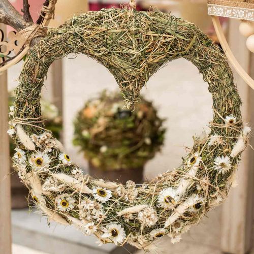 Floristik24 Acroclinium Hvide, tørre planter, stråblomster, tørblomstret L20–40cm 25g