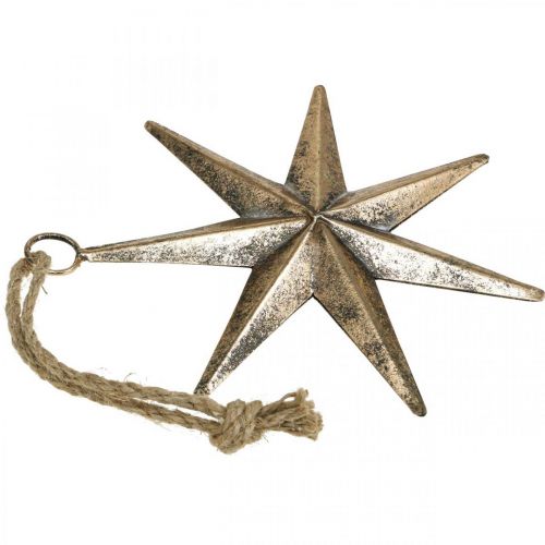 Floristik24 Julepynt stjernevedhæng gyldent antik look B19,5cm