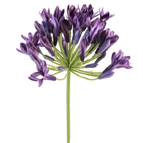 Artikel Agapanthus kunstige blomster lilla dekorationsliljer 75 cm 2 stk.
