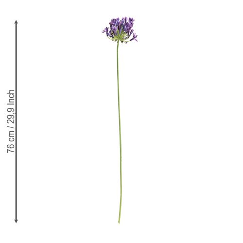 Artikel Agapanthus kunstige blomster lilla dekorationsliljer 75 cm 2 stk.