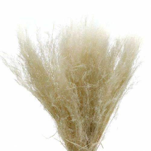 Artikel Tørt græs Agrostis bleget 40g