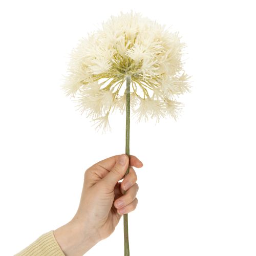 Artikel Kunstig blomst Allium, delikat design til indendørs brug, 68 cm