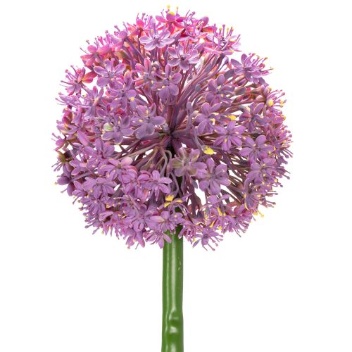 Floristik24 Kunstig Allium-blomst, prydløg, elegant rumdekoration, 90 cm