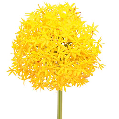 Artikel Allium Gul Blomst Kunstløg 80cm Ø14,5cm 2stk