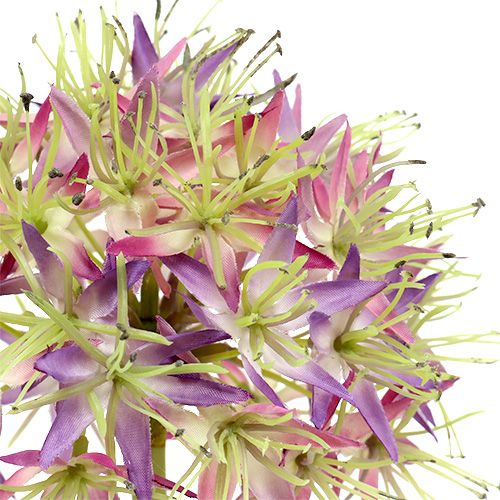 Artikel Allium lys lilla L76cm