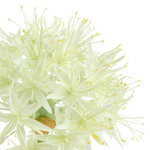 Artikel Allium creme hvid L76cm