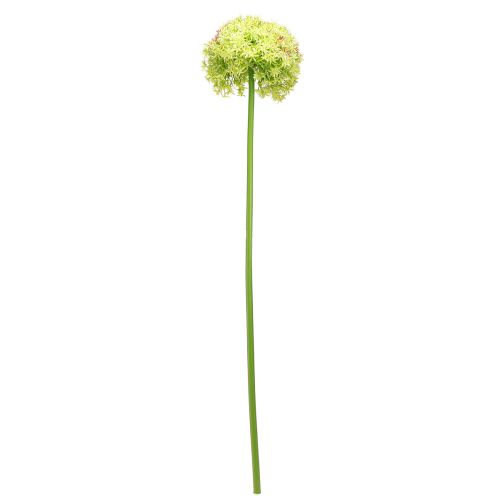 Artikel Allium grøn blomst kunstigt prydløg Ø18cm 90cm