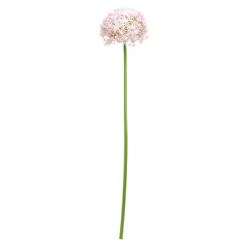 Artikel Allium med lyserøde blomster kunstløg Ø18cm L90cm