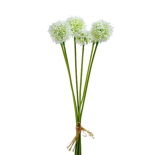 Floristik24 Allium 35cm hvid 6stk