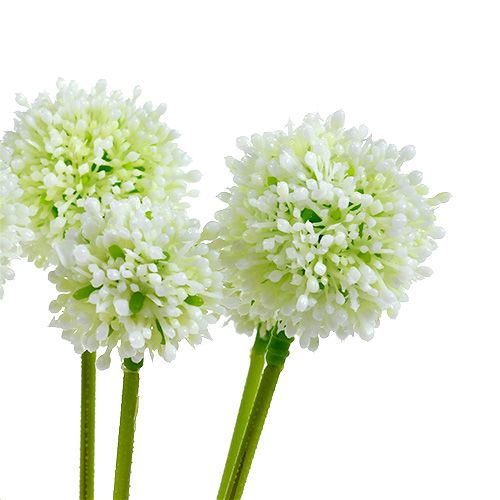 Artikel Allium 35cm hvid 6stk