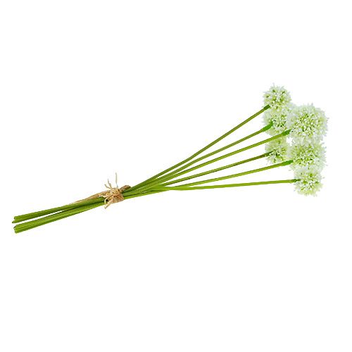 Floristik24 Allium 35cm hvid 6stk