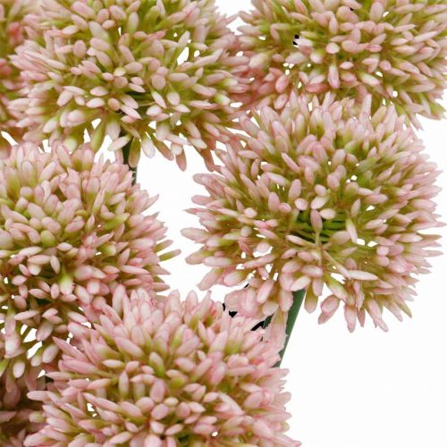 Floristik24 Kunstig blomst allium pink 38cm kunstig prydløg silkeblomst i bundt 12 stk.