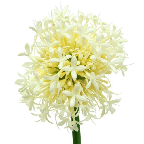 Floristik24 Ornamental Allium kunstig hvid 51 cm 4stk