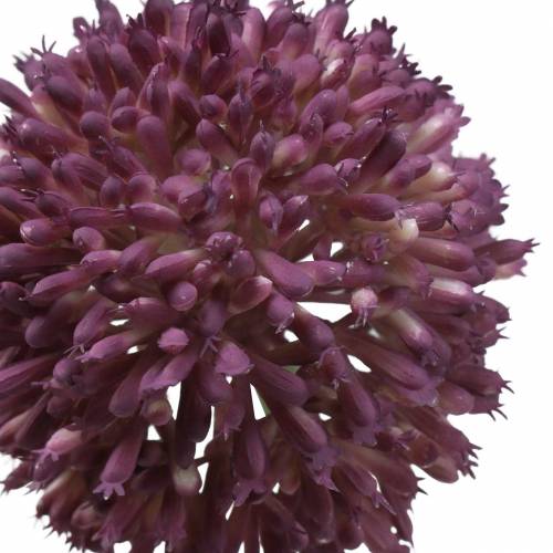 Floristik24 Ornamental allium kunstig lilla Ø8cm 58cm