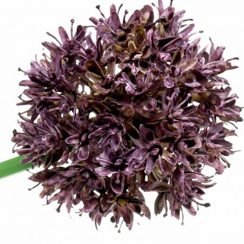 Artikel Allium kunstig Lilla Ø7cm H58cm 4stk