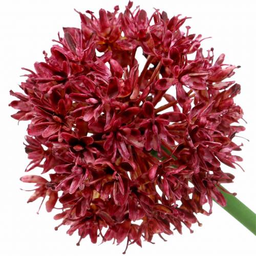 Floristik24 Allium kunstig Blåviolett Ø7cm H58cm 4stk